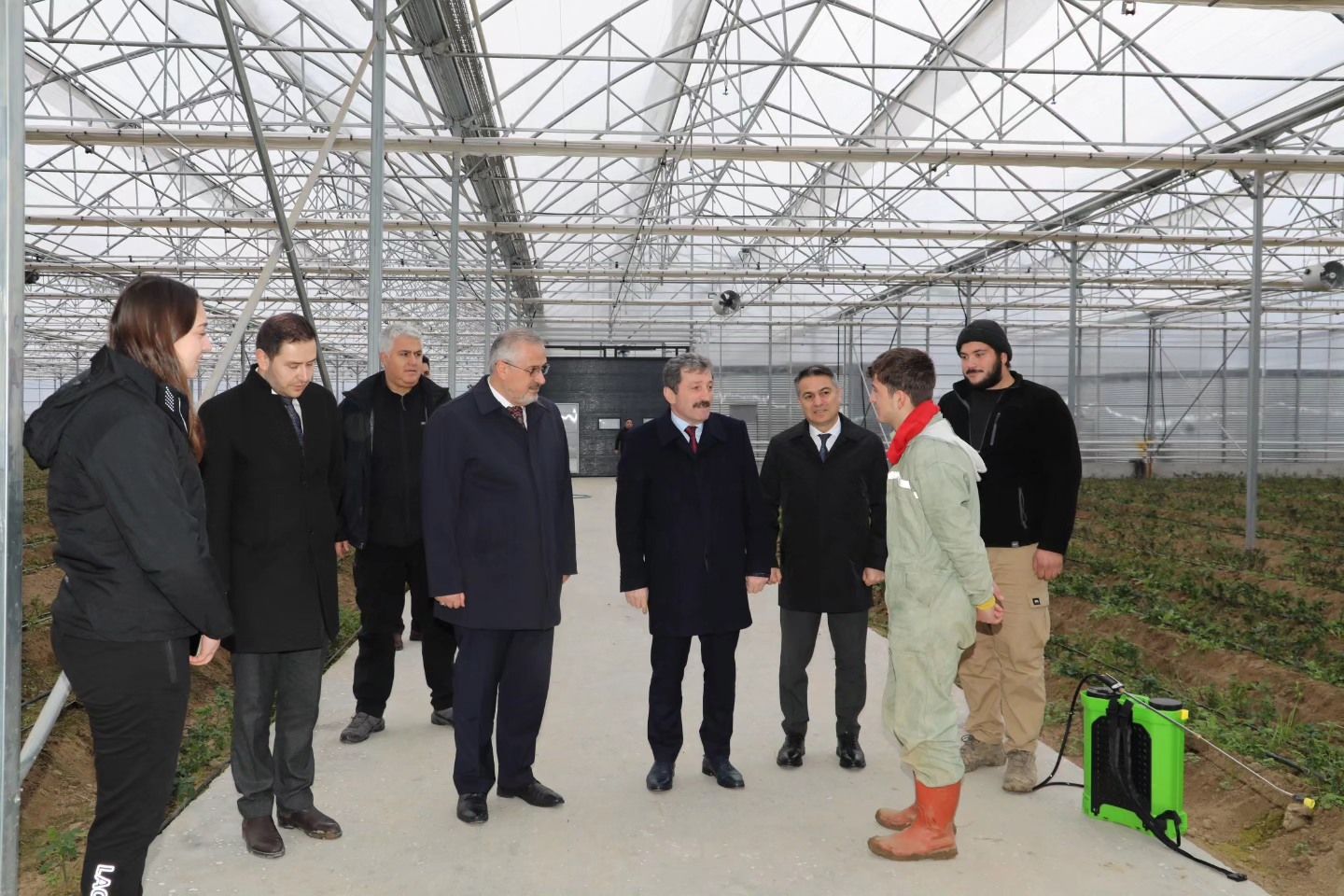 24 BİN METREKARELİK ALANDA KESME GÜL YETİŞTİRİCİLİĞİ YAPILIYOR